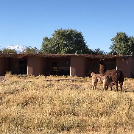 Eco-Lodge El Andinista San Pedro De Atacama Zewnętrze zdjęcie