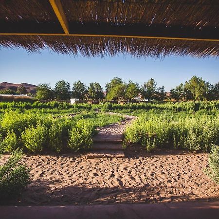 Eco-Lodge El Andinista San Pedro De Atacama Zewnętrze zdjęcie