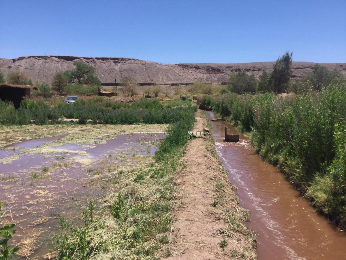 Eco-Lodge El Andinista San Pedro De Atacama Zewnętrze zdjęcie
