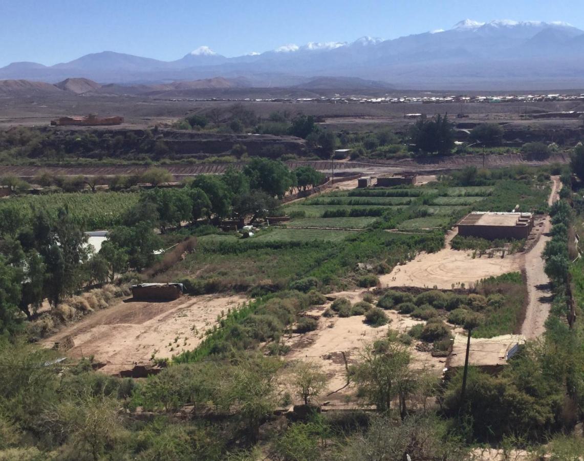 Eco-Lodge El Andinista San Pedro De Atacama Zewnętrze zdjęcie