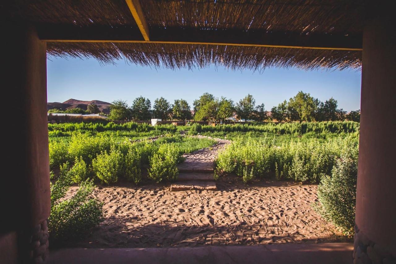 Eco-Lodge El Andinista San Pedro De Atacama Zewnętrze zdjęcie