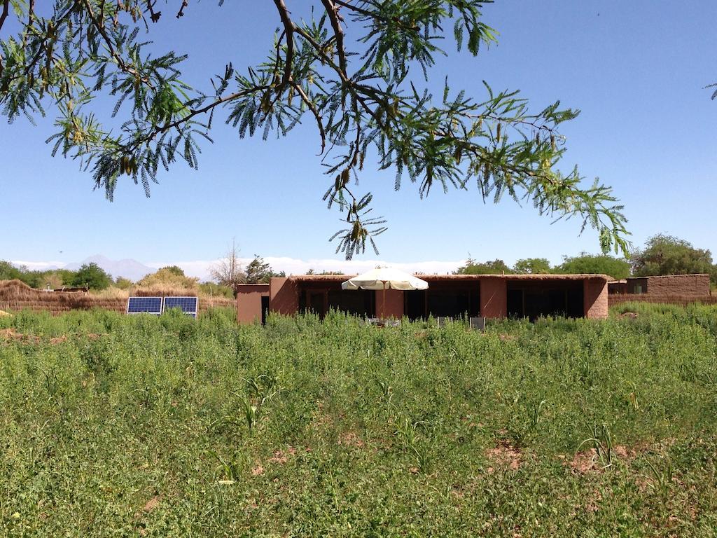 Eco-Lodge El Andinista San Pedro De Atacama Zewnętrze zdjęcie